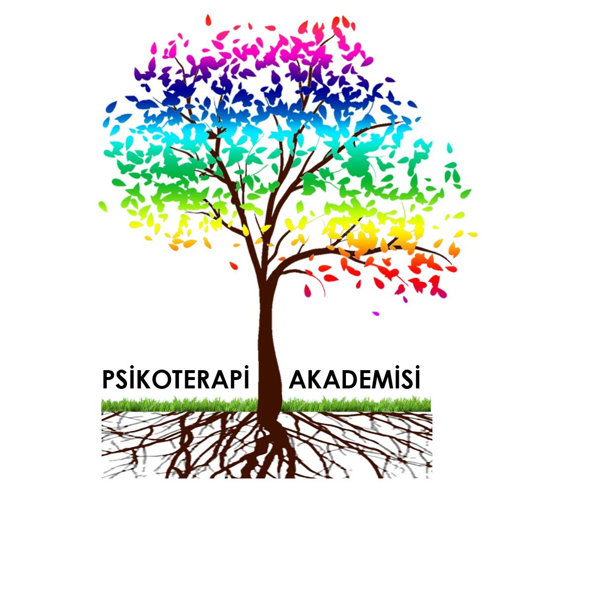 Ümit Sertan Çöpoğlu-13