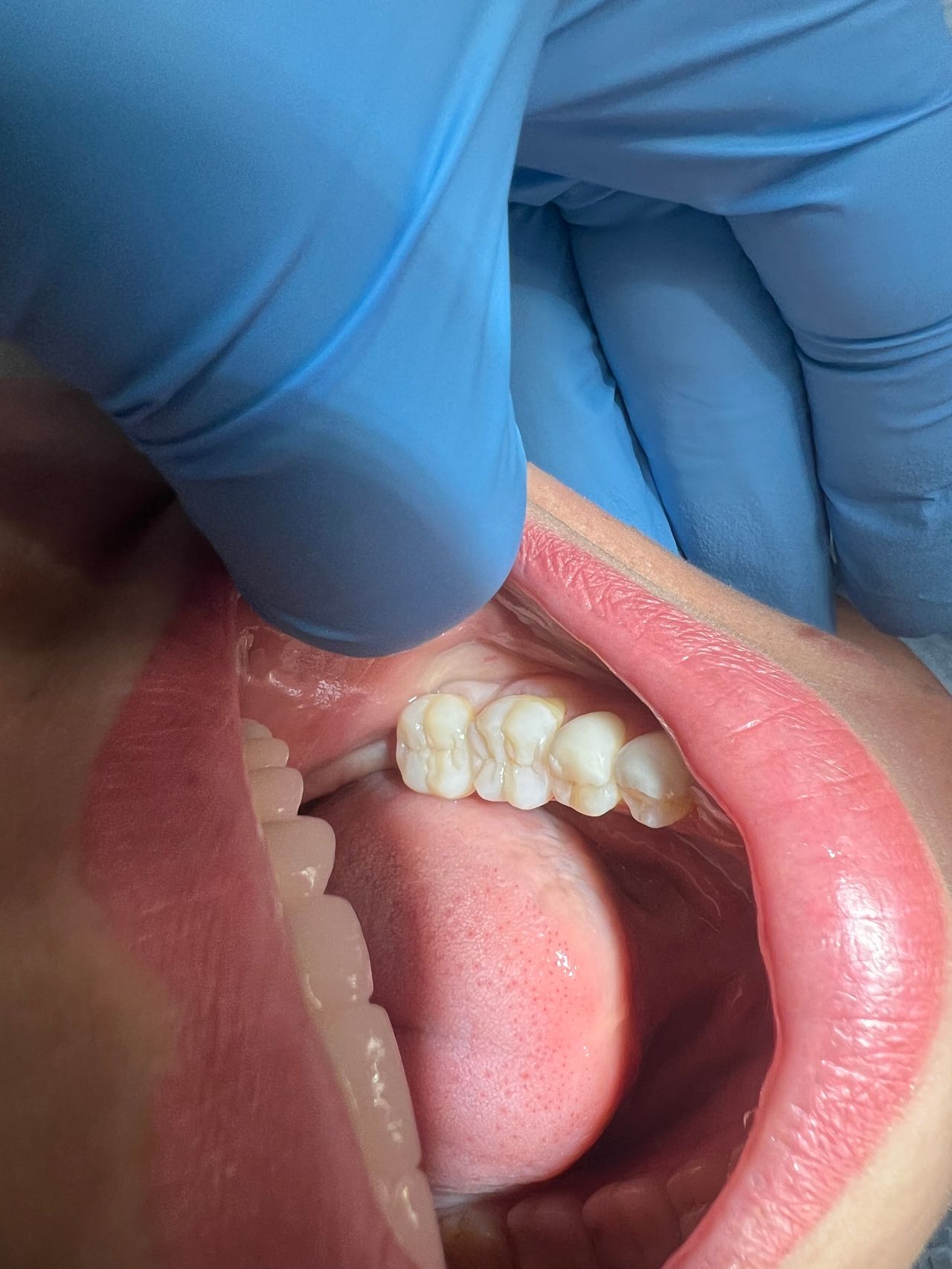 Małgorzata Protasewicz-Nowicka-33