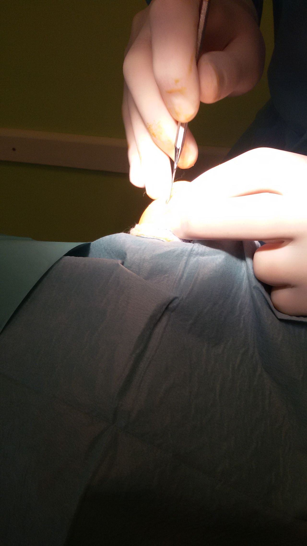 Joaquin Falcón  Sánchez-5