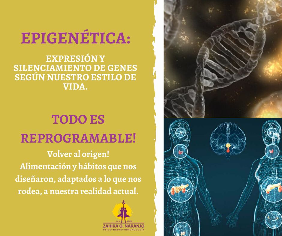 Zahira O. Naranjo-12