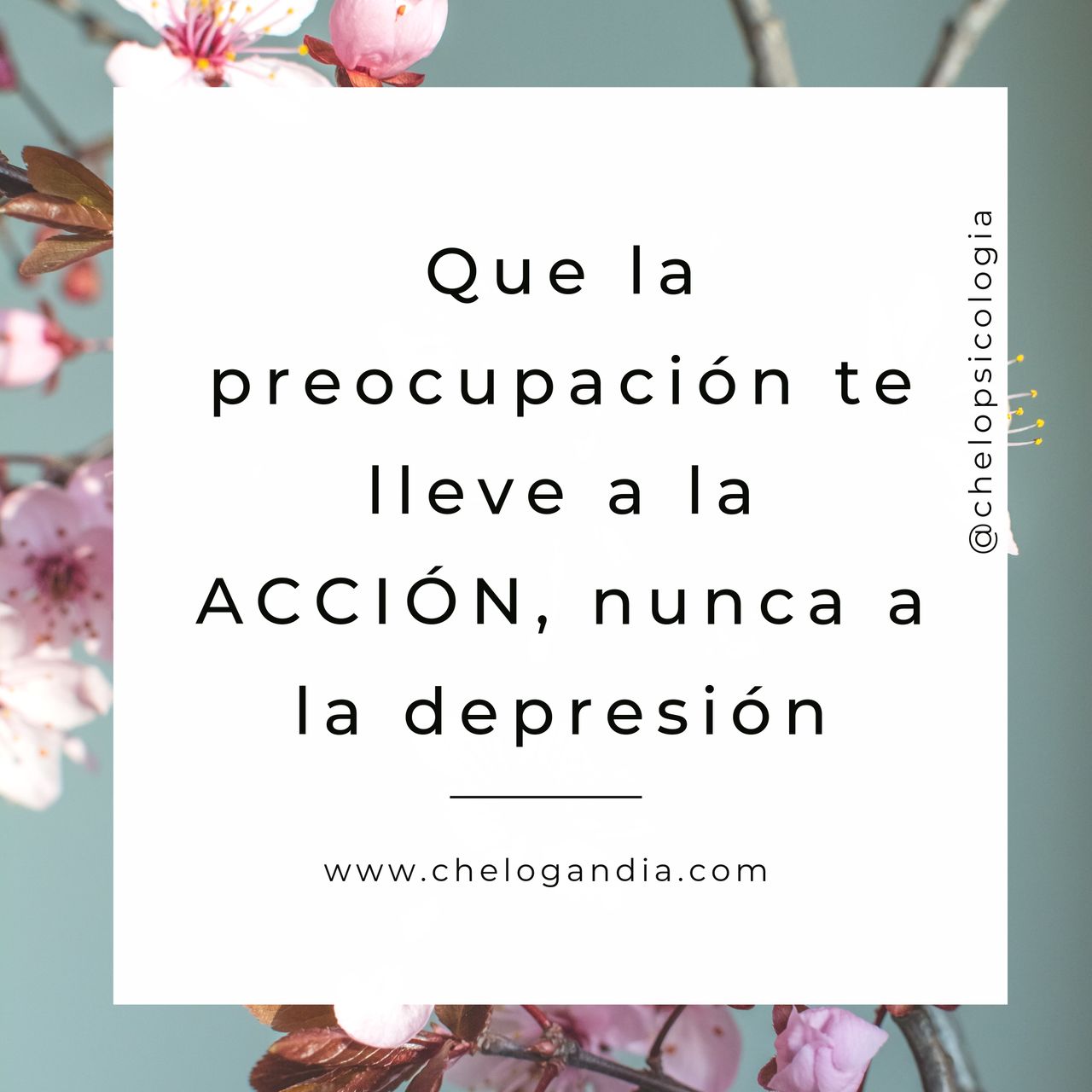 Chelo Gandia Valdés-15