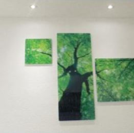 Sokrates Trellakis-5