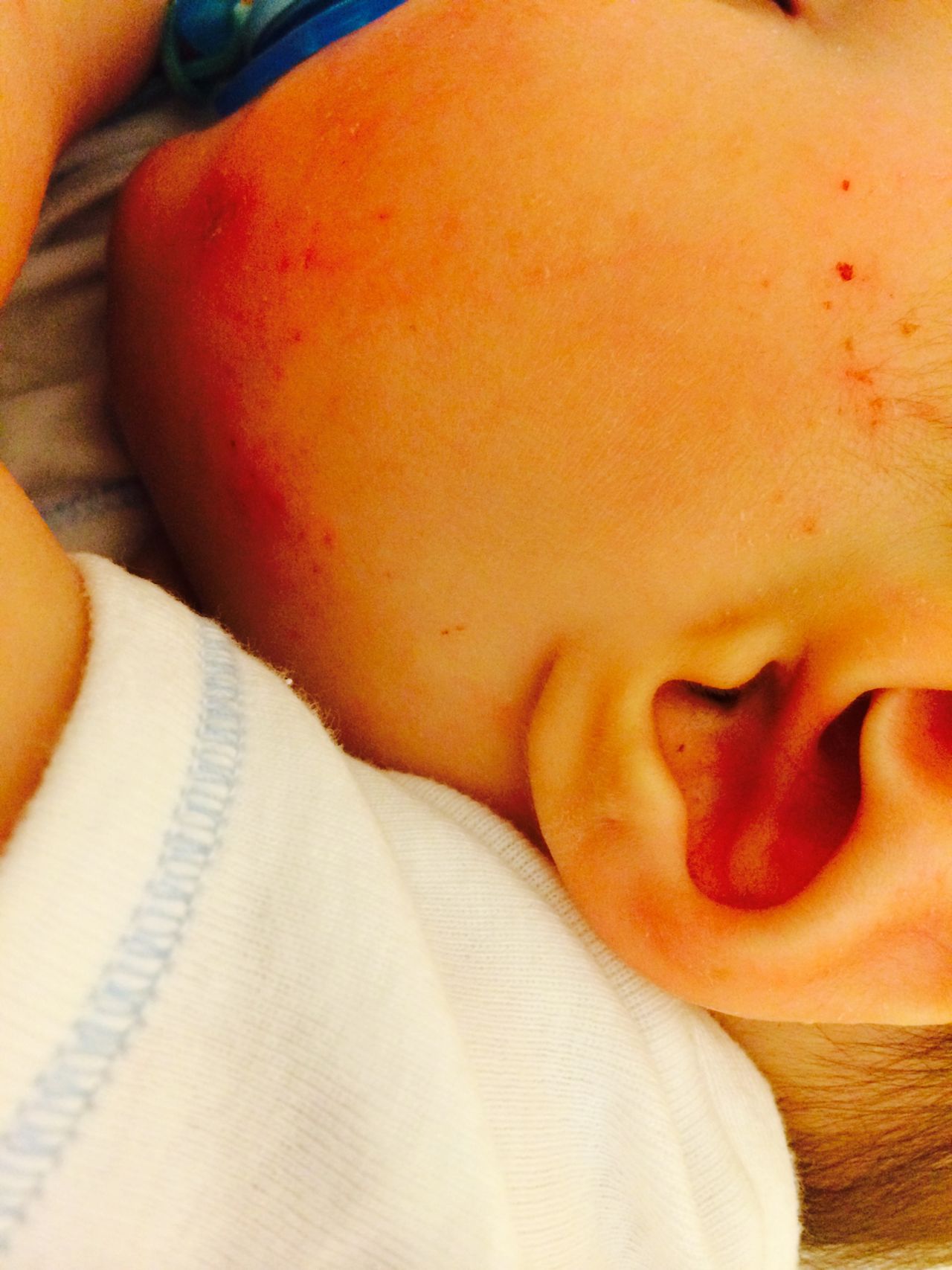 Maria Stefania Leto Barone-10