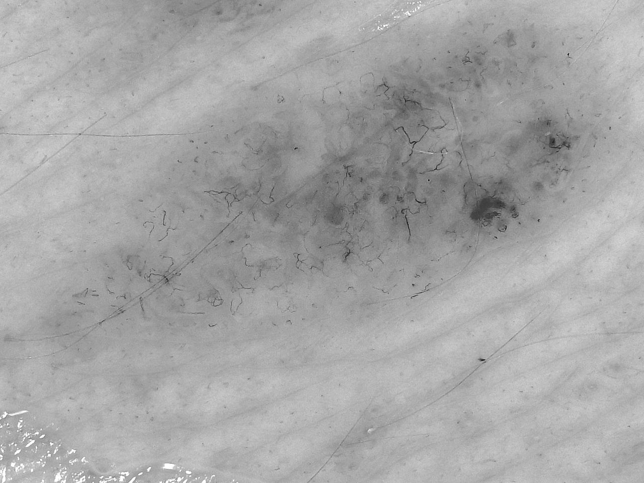 Paweł Pietkiewicz-10