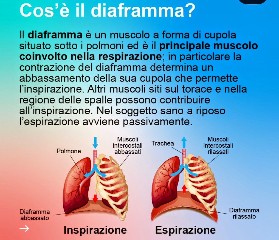 Stella Cavaggion-3