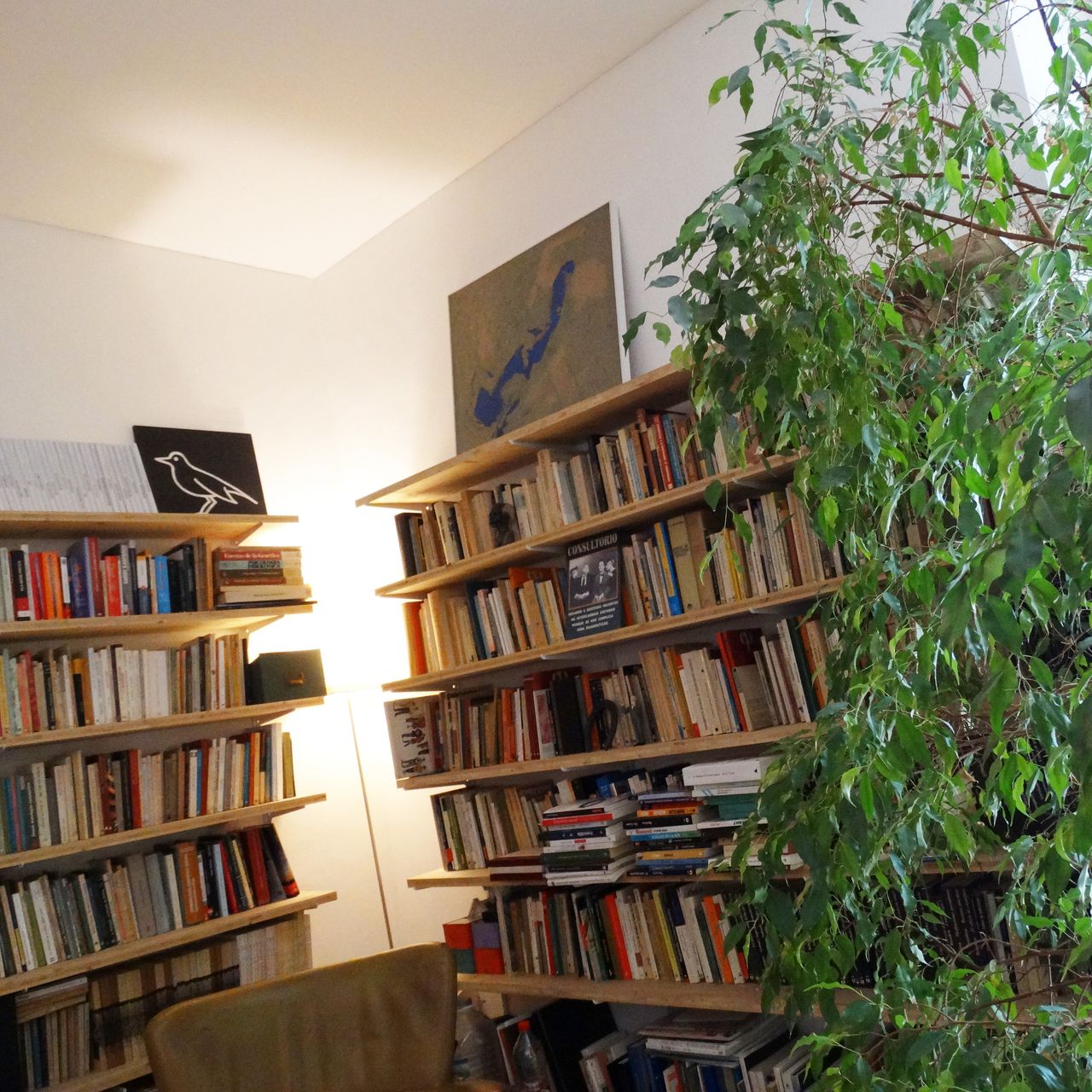 Carlos Farrés Snelders-5