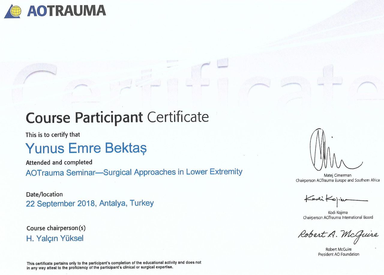 Yunus Emre Bektaş-1