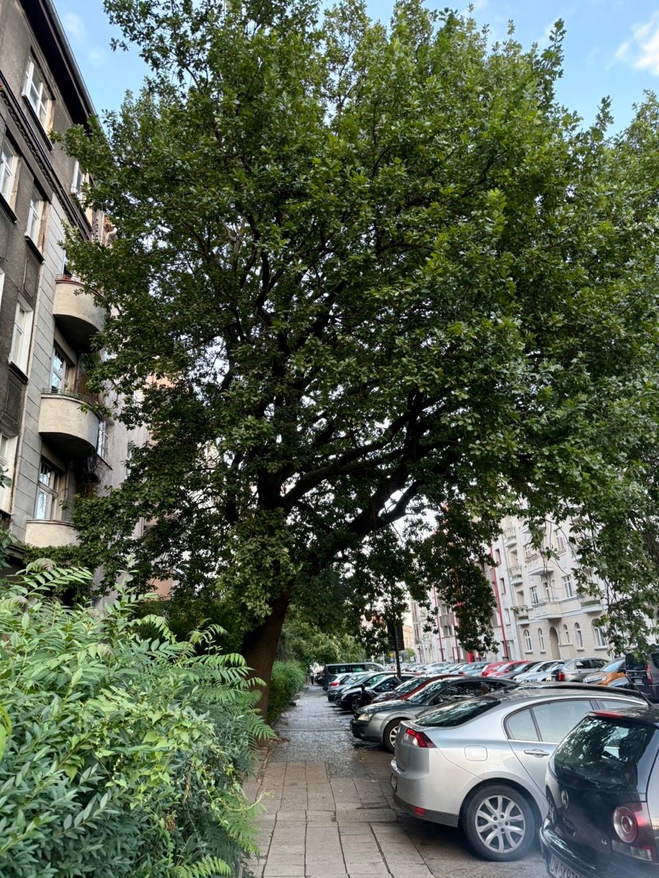 Katarzyna Kowalska-5