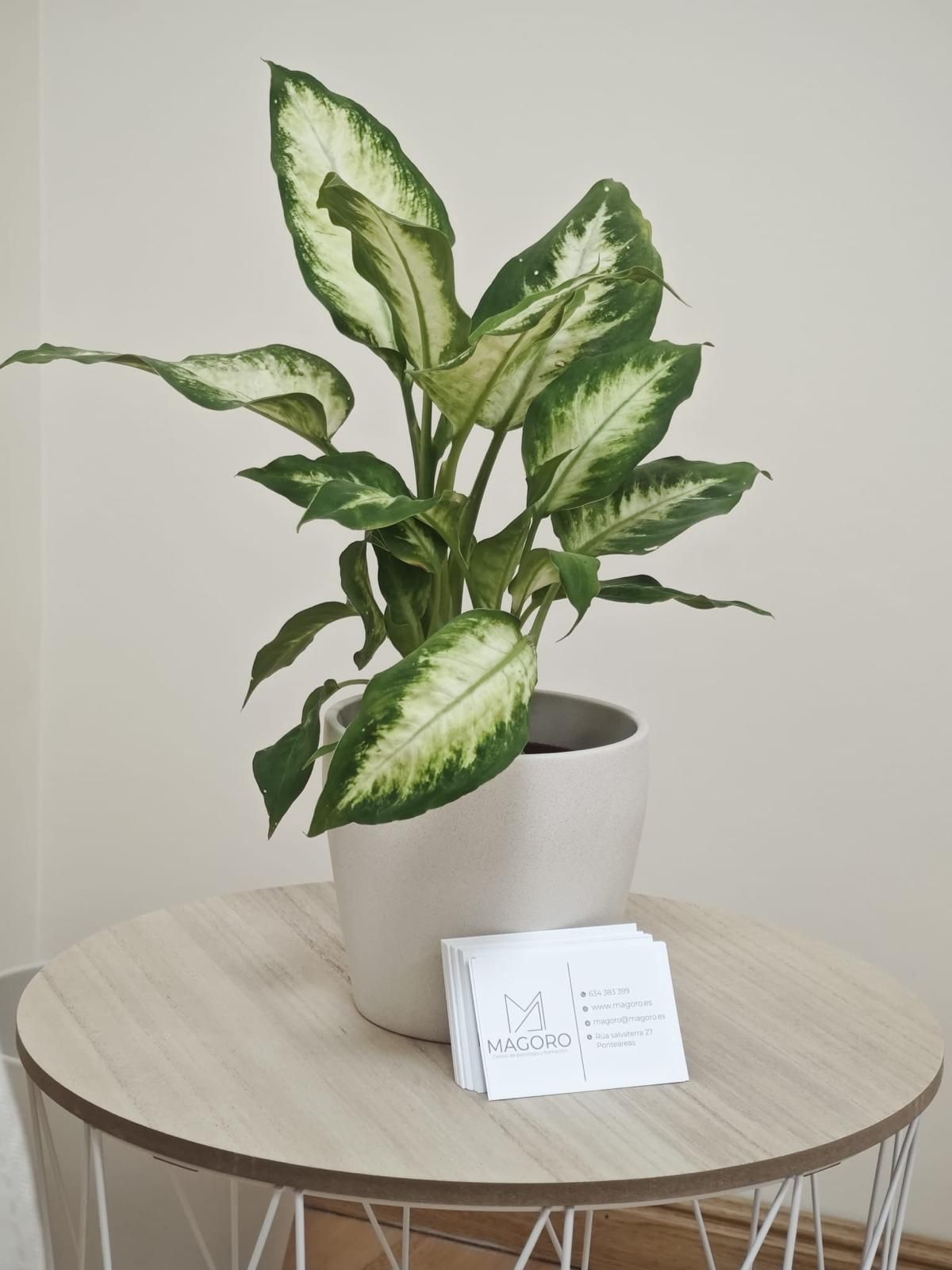 Judit Pérez Pérez-2