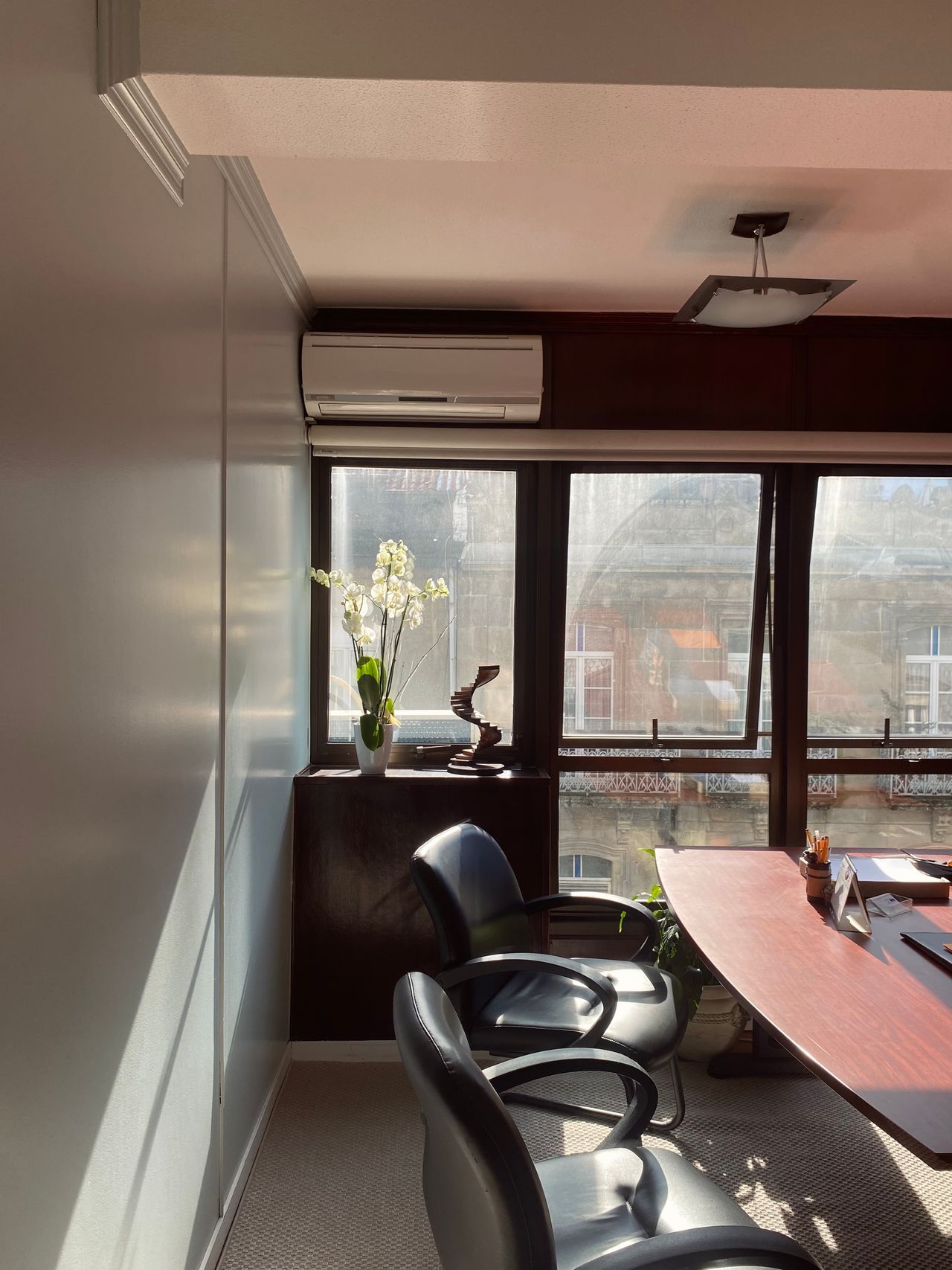 Cecilia Cardero Neri-8