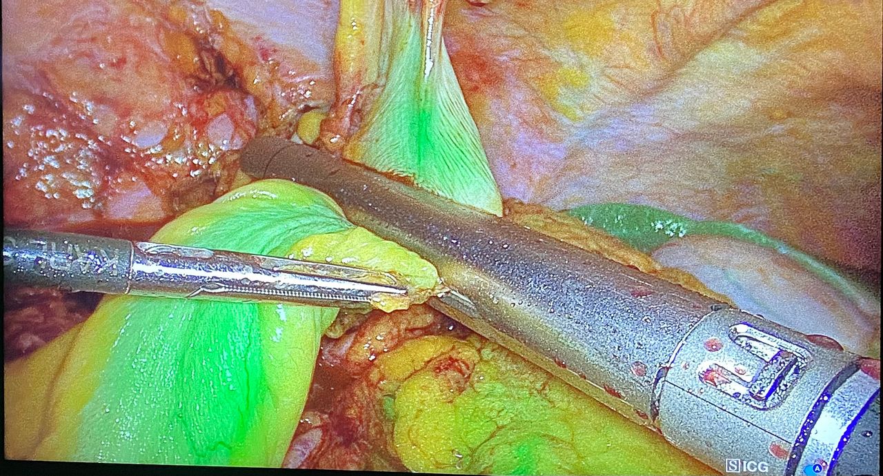 Claudio Gambardella-4