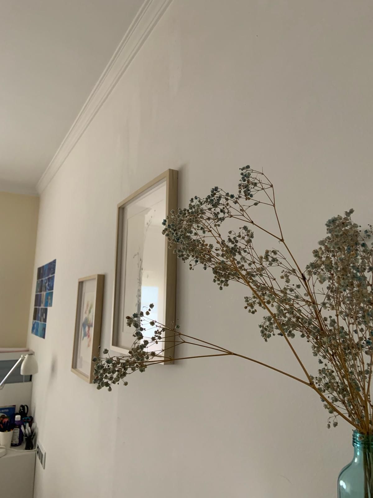 Francisco Javier Gimeno-0