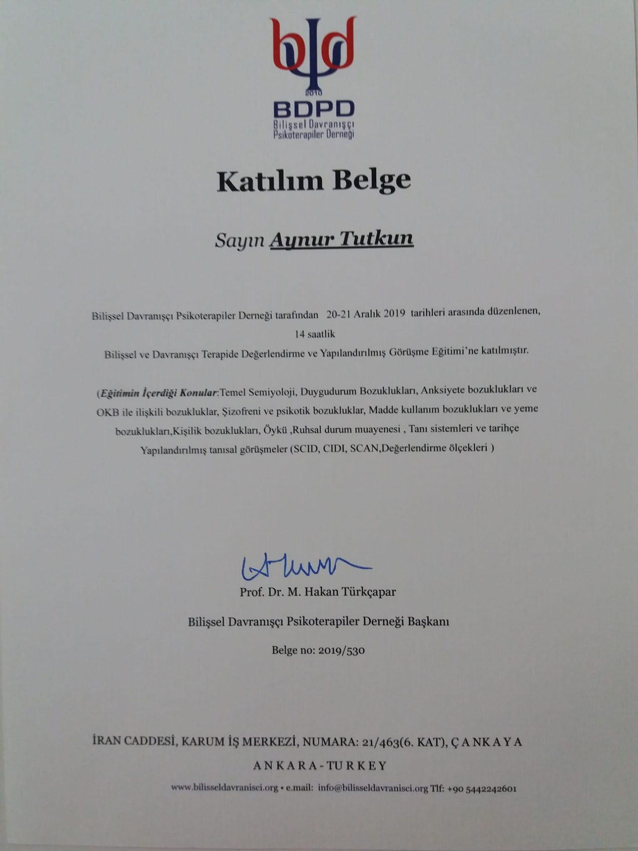 Aynur Erdoğanoğlu-0