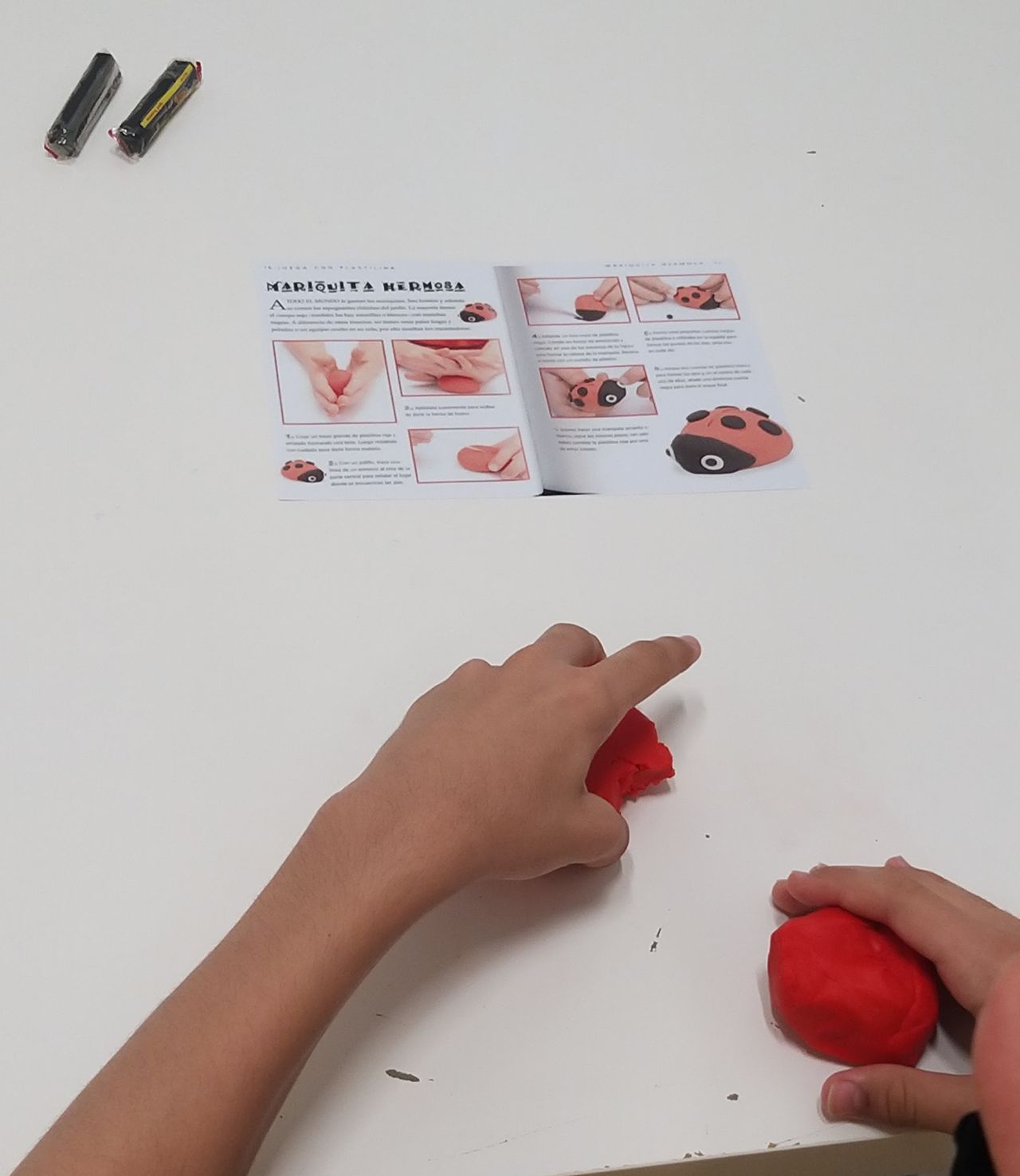 Tayri Cardoso Lopez-7