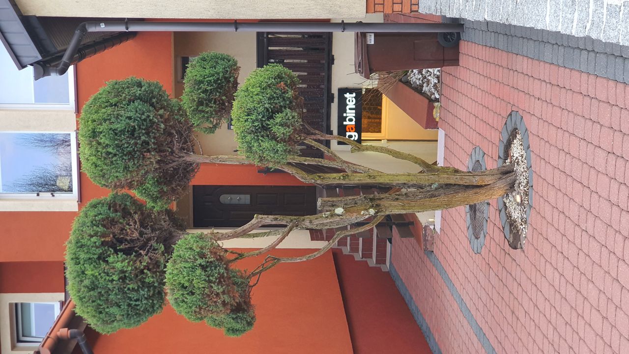 Krzysztof Krajewski-3