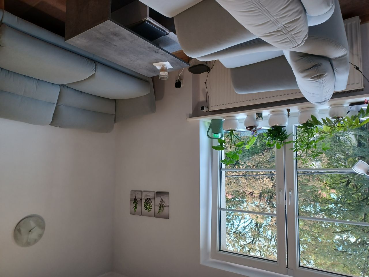 Elżbieta Ciołek-Żelechowska-1