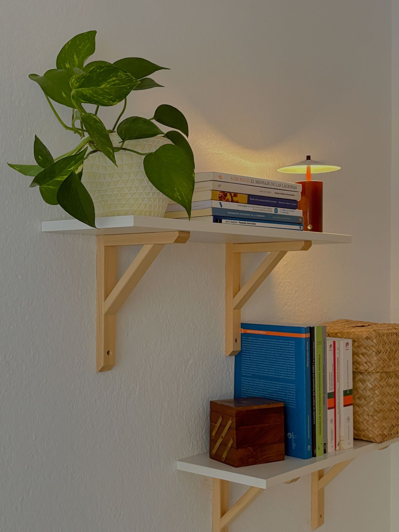 Jokin Epelde Domínguez-1