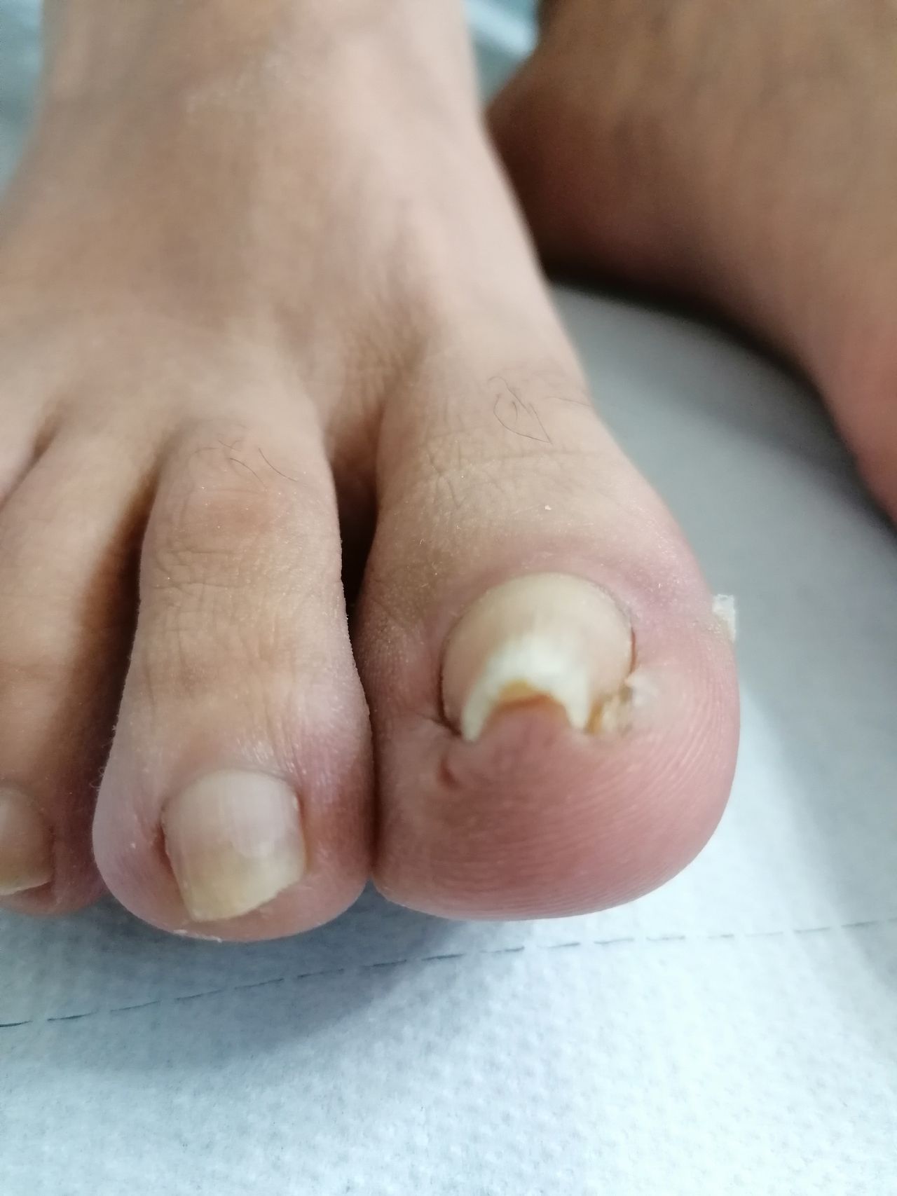 Kassandra Nicolosi-116