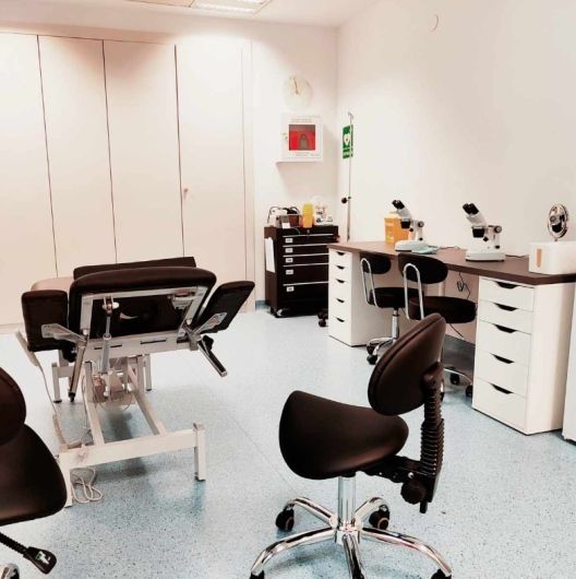 Antonia Brain Pérez-3