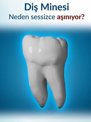 Özge Söyleyici Alper-1