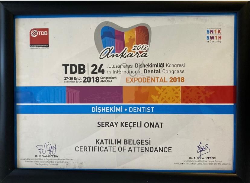 Seray Keçeli Onat-1