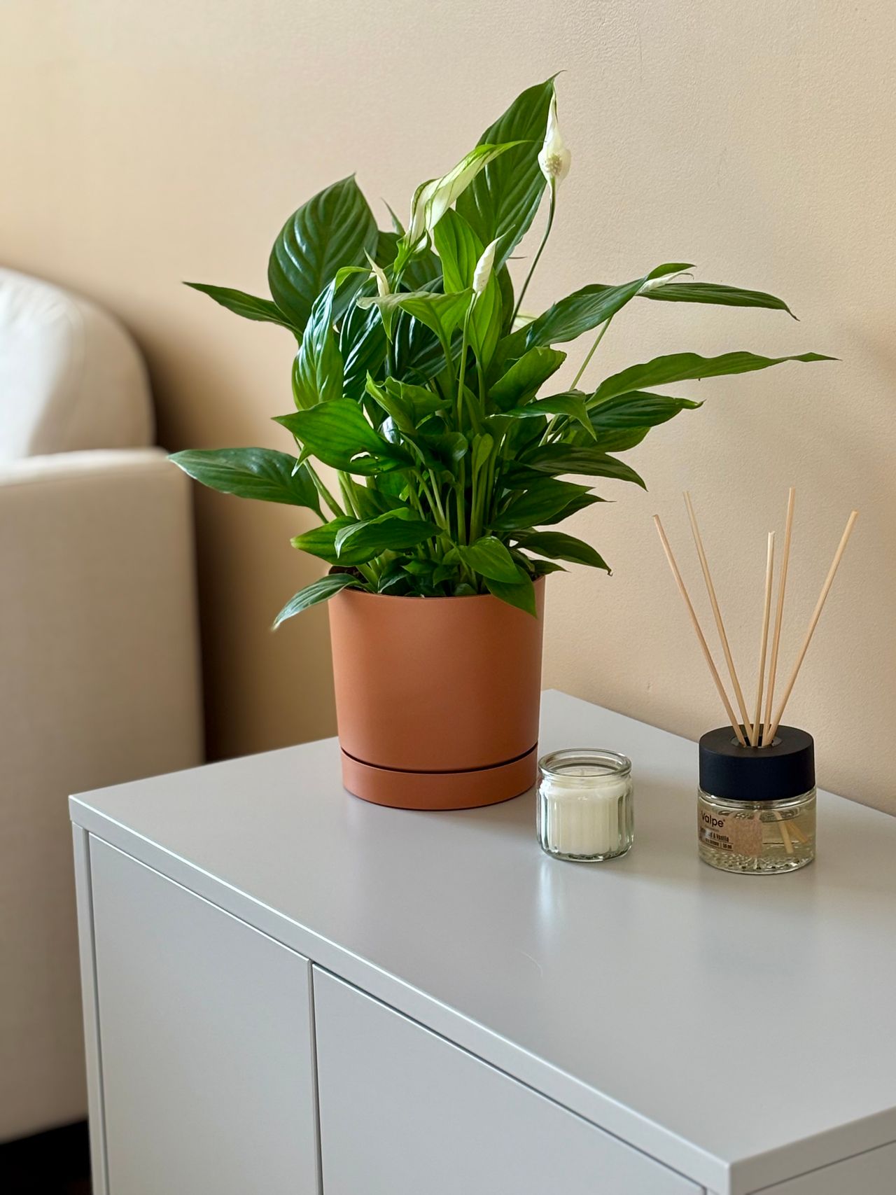 Adriana Płócienniczak-4