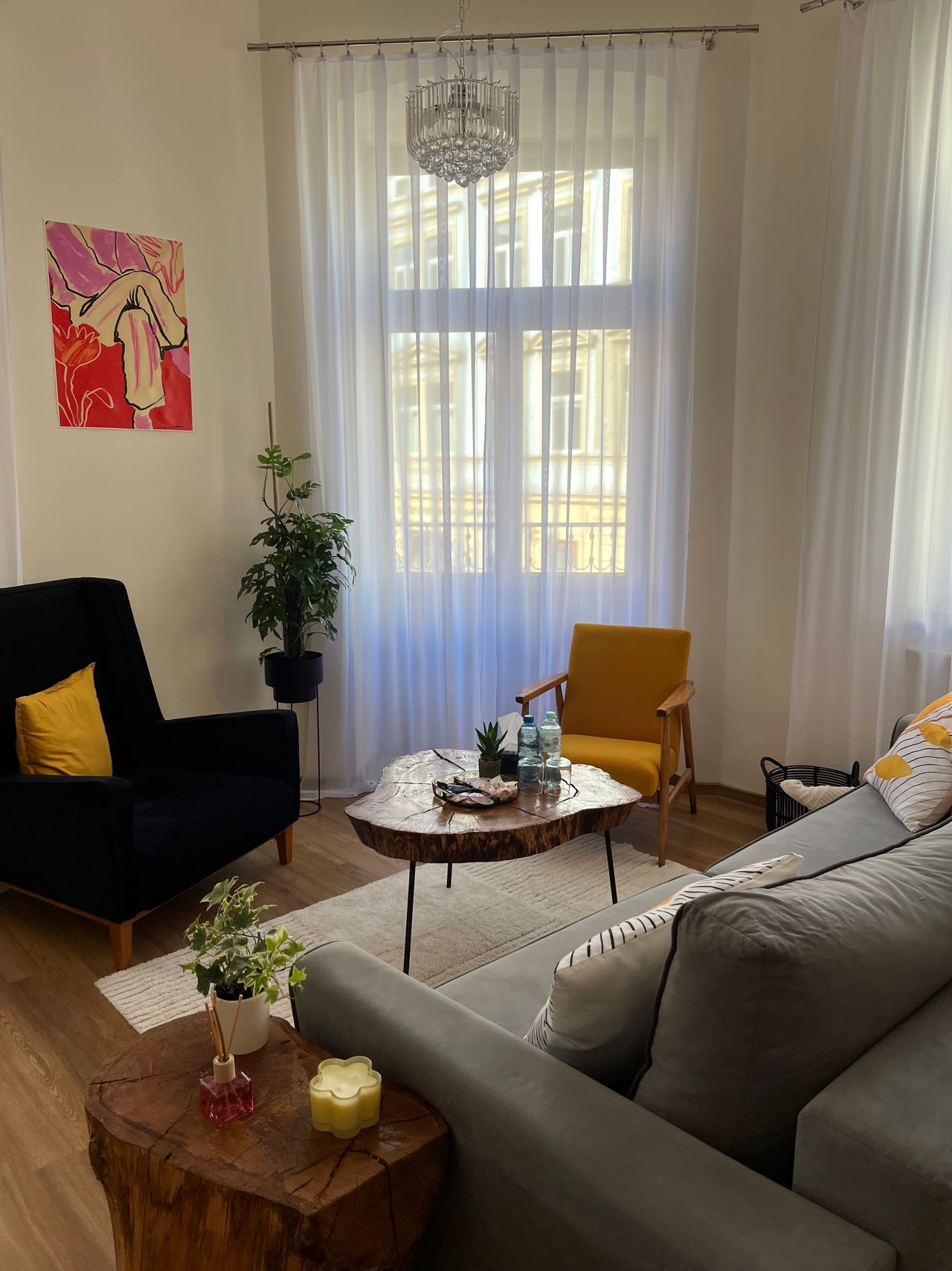 Laura Świtek-Noworolnik-2