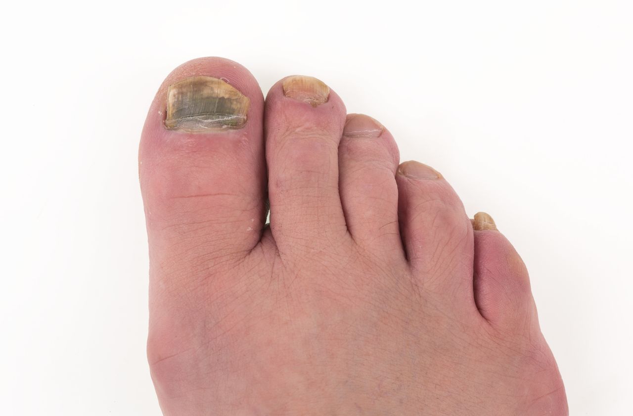 Javier Raga Martínez-8