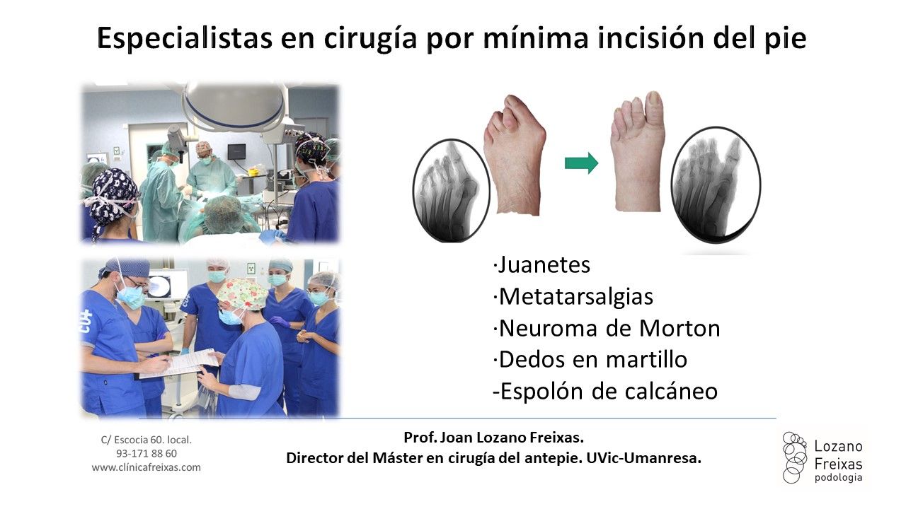 Joan Lozano Freixas-17