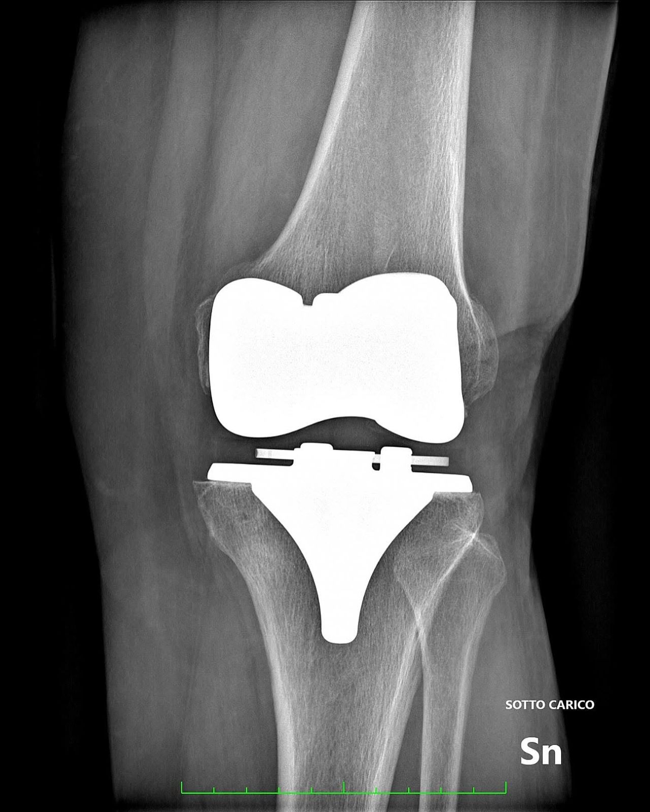 Daniele Passaretti-34