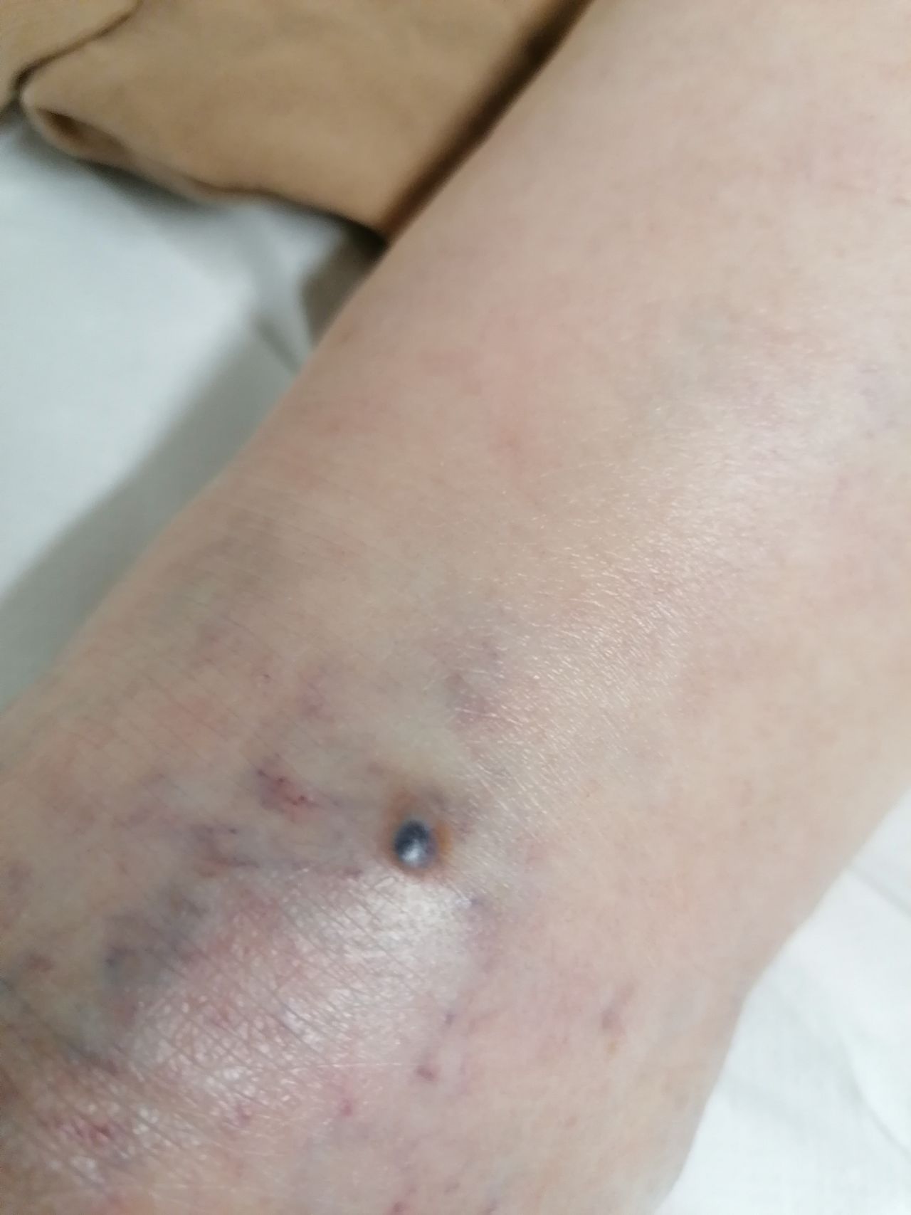 Kassandra Nicolosi-55