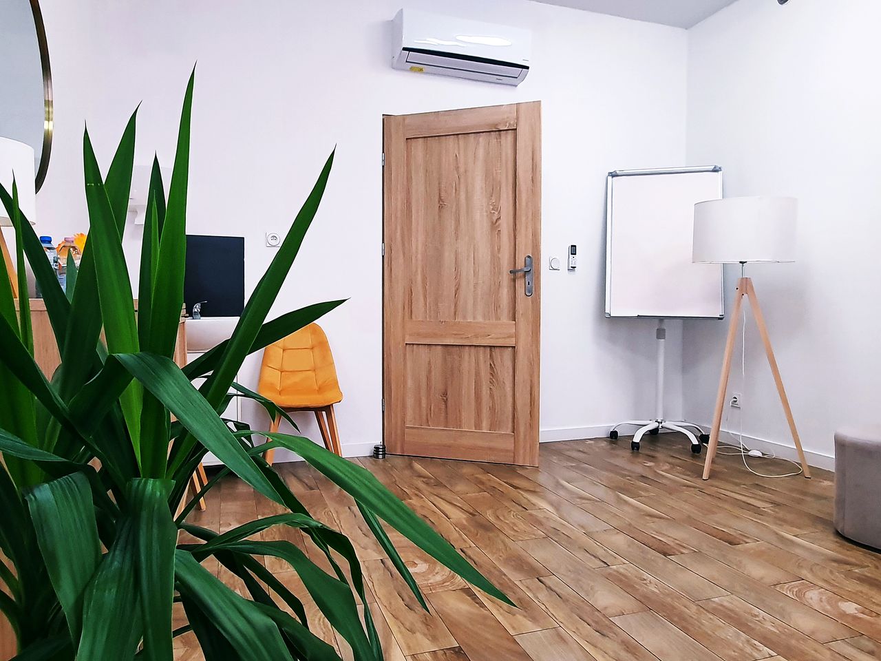 Aleksandra Królak-21