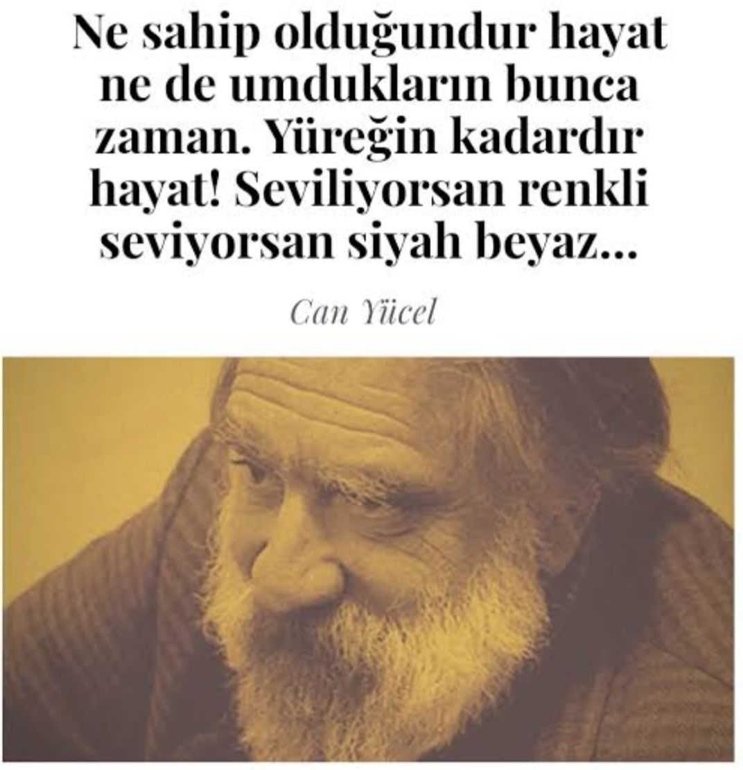 Ayşen Betül Okat-56