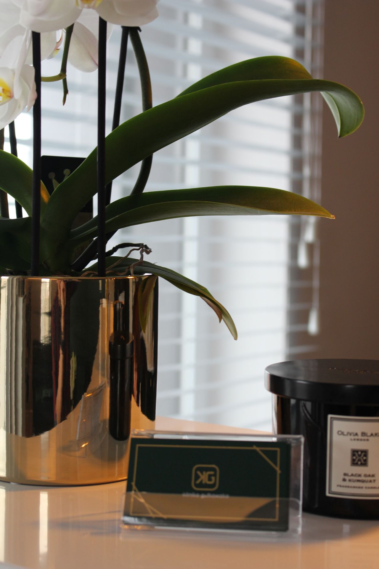 Karolina Gutkowska-3