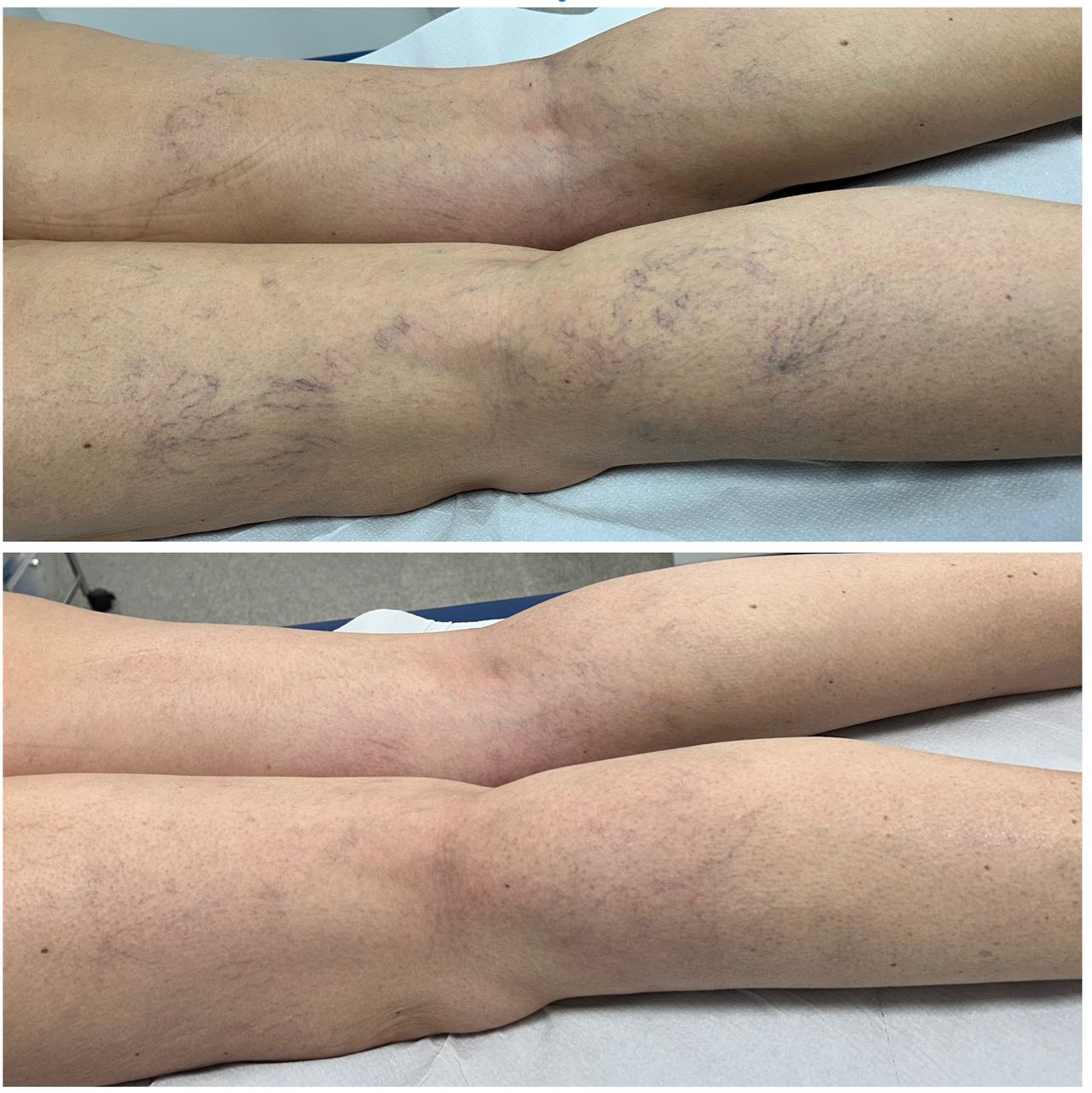 Paulina Pérez Ramírez-7