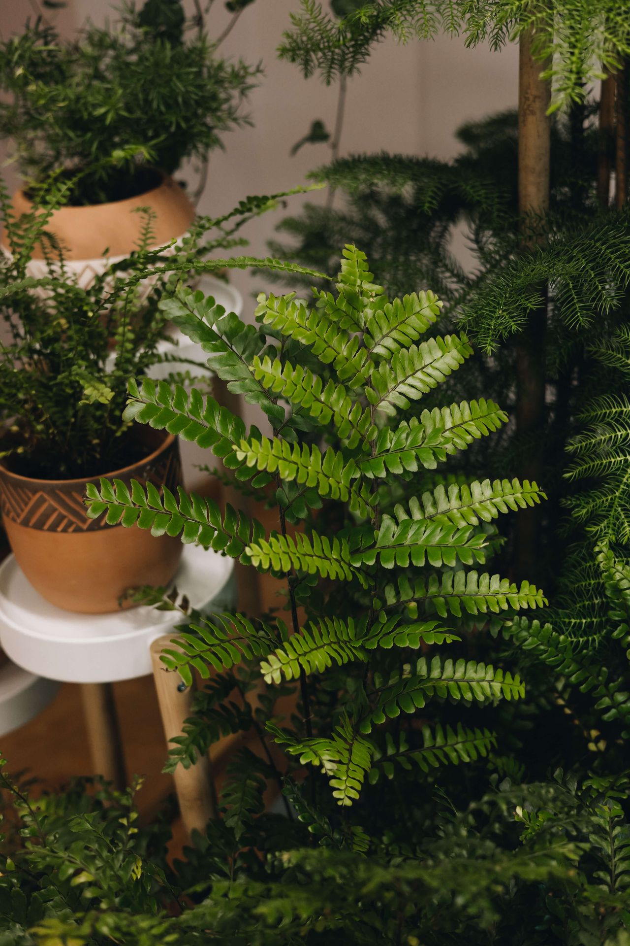 Magdalena Tucholska-5