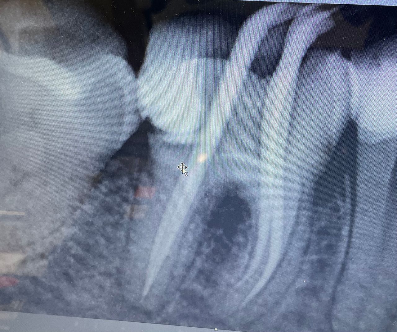 Marizel Ospitia Beltrán-0