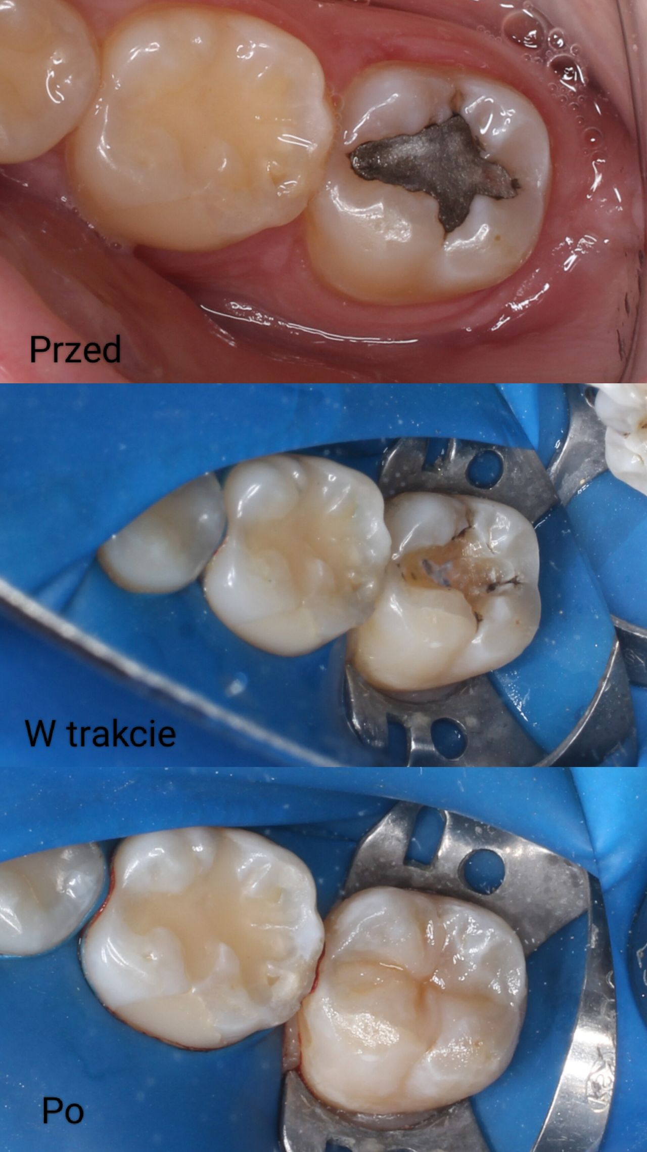 Aleksandra Bobrovskaya-11