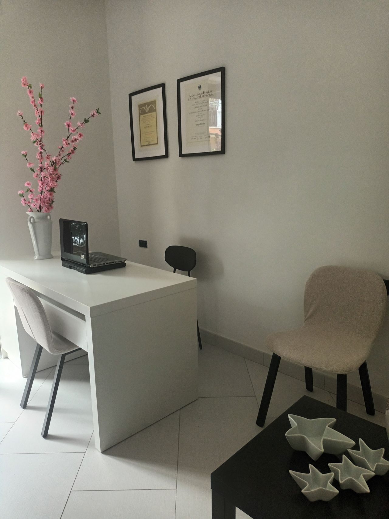 Principia Del Gatto-1