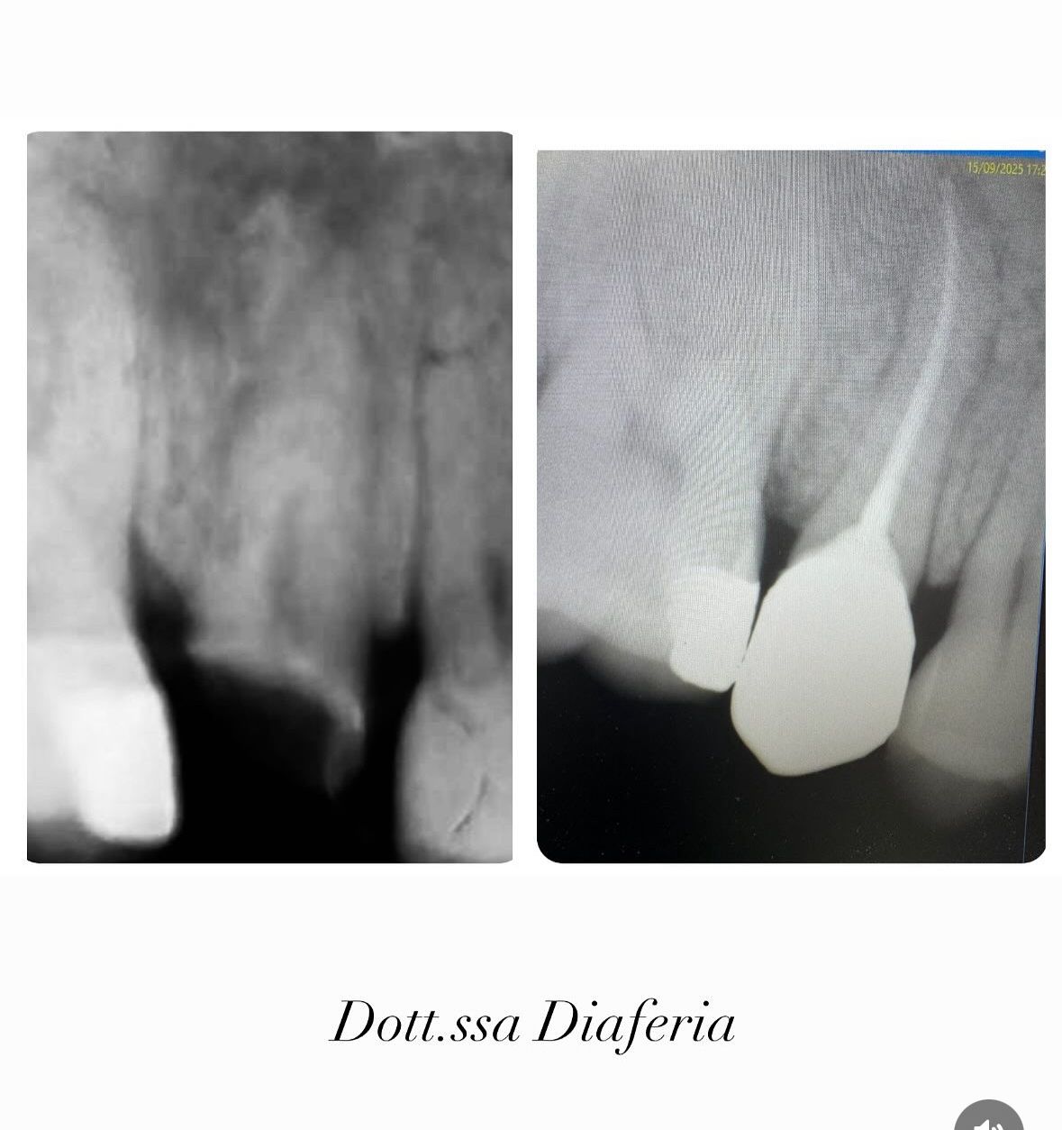 Maria Grazia Diaferia-32