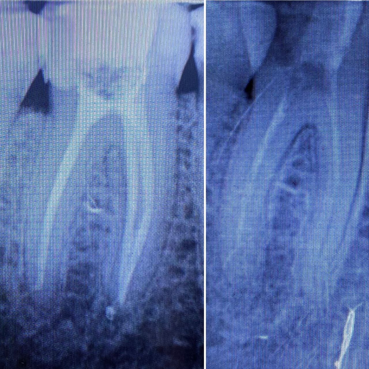 Irena Moczyńska-Kaya-8