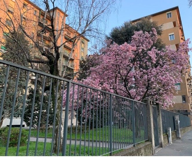 Alessandra Mapelli-4