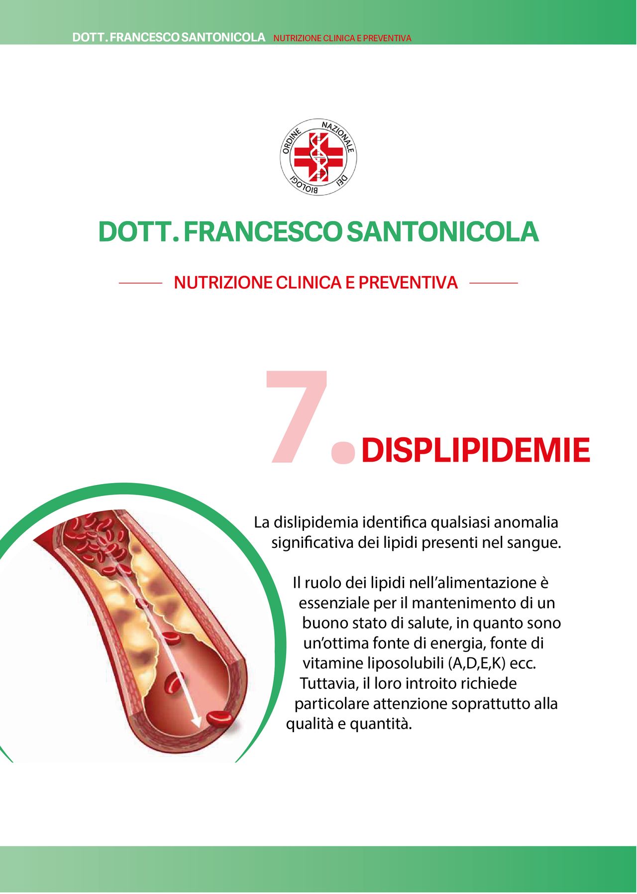 Francesco Santonicola-47