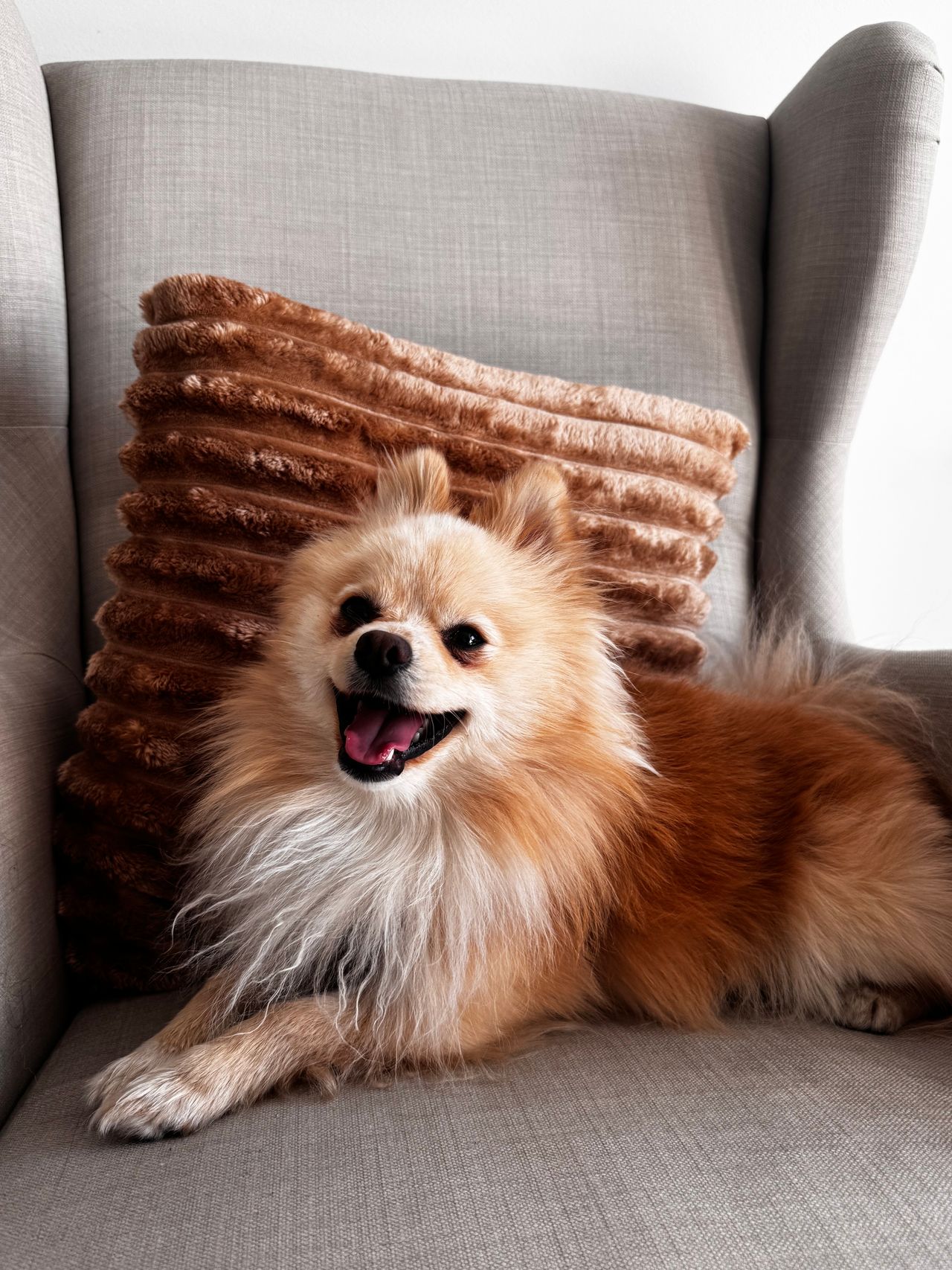 Julia Puczyńska-1