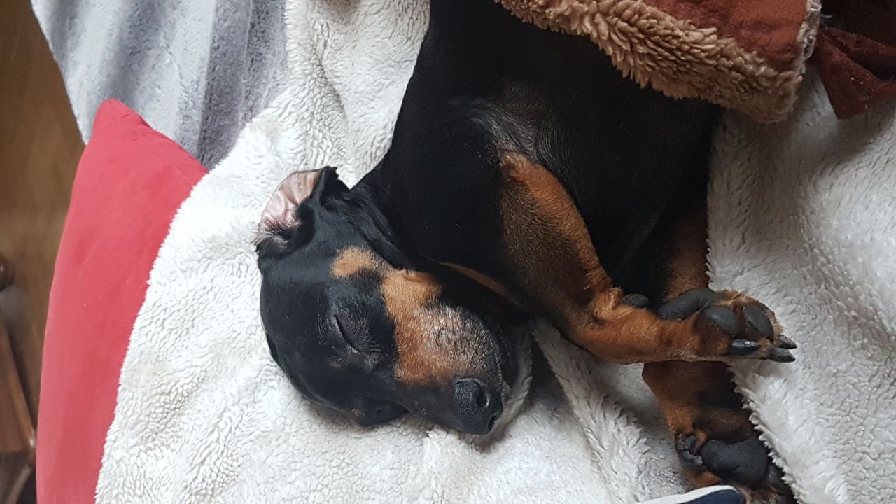 Katarzyna Krzyżanowska-3