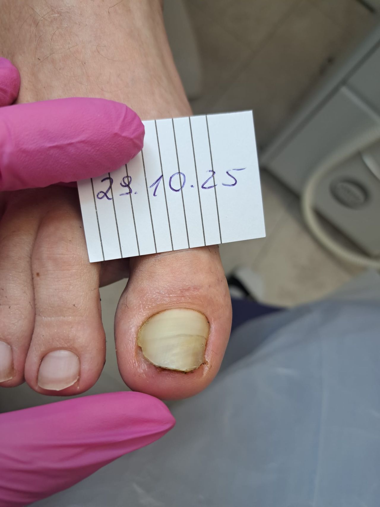 Monika Anhalt-Szawłowska-9