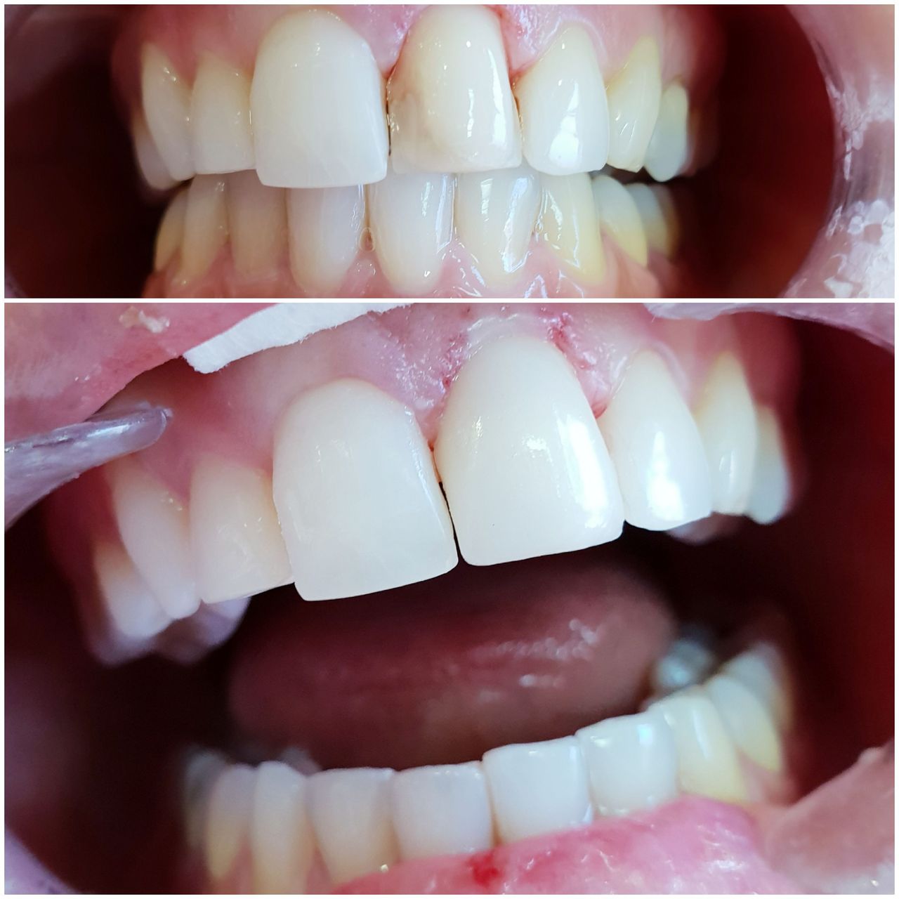 Arabel Fis Rodríguez-24