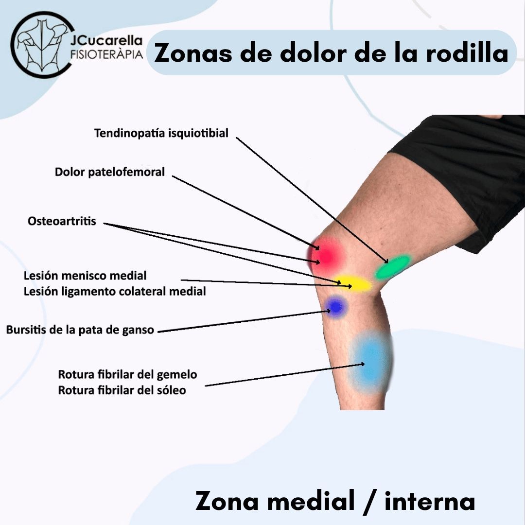 Javier Cucarella Bellvís-11