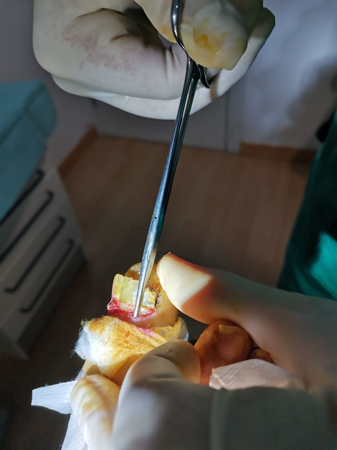 Luis Gandía Zapata-7