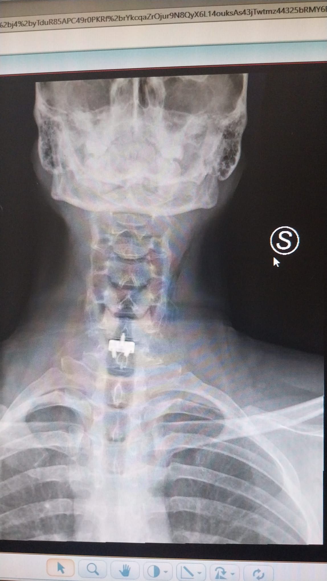 Alessandro Rapisarda-12